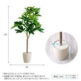 お手入れ簡単 フェイクグリーン パキラ Mサイズ(150cm)