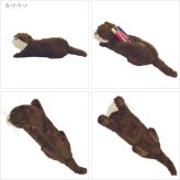  定形外送料無料 陸の生き物 どうぶつペンケース ぬいぐるみペンケース ペンケース ペンポーチ フィギュアポーチ レッサーパンダ ナマケモノ カワウソ ハシビロコウ コアラ 筆箱 ポーチ 小物入れ 動物