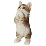 置物 猫 おねだり濃茶トラ白猫 高さ23cm woobia ウービア リアル かわいい おしゃれ 玄関 インテリア オブジェ ガーデン 茶トラ おねだり ねこ ネコ 動物 アニマル 癒し 棚 北欧 プレゼント ギフト 新築祝い 猫好き