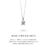 選べる誕生石 ネックレスプラチナ ネックレス 一粒 PT950 プラチナ950 白金 チェーン 長さ選べる 40cm 45cm 50cm ギフトラッピング可能 シンプル 華奢 上品 Rapture アイリス 彼女 妻 女性 レディース 誕生日 プレゼント ハロウィン 【品番：CG-RSP-29051PT】