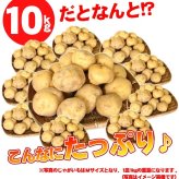 きたあかり 9.5-10kg 訳あり 北海道 じゃがいも S-Mサイズ 送料無料  ※沖縄は送料別途加算 キタアカリ