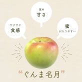 長野県産りんご ぐんま名月 秀品 ご贈答 果物 フルーツ お取り寄せ 産地直送 【送料無料(一部地域除く)】