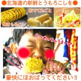 イエロースイートコーン 北海道 とうもろこし 8本入 送料無料 ※沖縄は送料別途加算