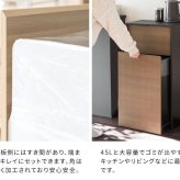 ゴミ箱 ダストボックス キャスター付き 45L 北欧 シンプル モダン 大容量 フタ付き プッシュ扉式 ごみ箱 DB-F1100 Helios ヘリオス スリム 奥浅 薄型 縦型 木製 木目調 人気 おすすめ おしゃれ ランキング キッチン 収納 棚