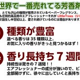 リトルツリー 同種 5枚セット 【全40種】 芳香剤 Little Trees AirFreshener 車 部屋 吊り下げ カーフレッシュナー Car Freshener アメリカ グッズ プレゼント アメリカン雑貨 エアフレッシュナー フレグランス 香り 芳香 車載 メール便送料無料