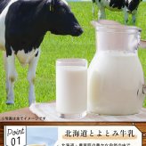 アイス アイスクリーム ギフト 北海道 プレミアムアイス.BUONO 24個（4種×6個）.詰め合わせセット 【S16】【S】御歳暮 送料無料 お取り寄せスイーツ パフェ 母の日 父の日 御中元 敬老の日 御歳暮 誕生日 内祝い お返し 誕生日 内祝い