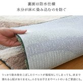ラグ カーペット 玄関マット 室内 屋内 マット モンステラマット 立体感 北欧 オシャレインテリア おしゃれ オシャレ デザインマット 滑り止め 緑色 グリーン 茶色 ブラウン 引っ越し 新生活