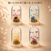 名入れ フラワーガラスドーム ＬＥＤライト付き 選べる４色 名前・メッセージ・日付刻印 ギフト 枯れない花 水やり不要 木製台座 誕生日 母の日 結婚祝い 結婚記念日 記念品 退職祝い 女性 母 妻 彼女 友達 おしゃれ インテリア プレゼント