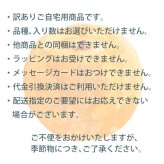 予約販売 訳あり 梨 千葉県市川産 いちかわの梨 3kg 幸水 豊水 秋月 B級品 自宅用 家庭用 和梨 なし フルーツ 果物 旬の味覚 お取り寄せ グルメ お盆 暑中見舞い 残暑見舞い
