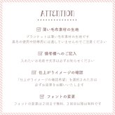 【お名前入りブランケット】ギンガムチェック×パステルカラー 名入れ ギフト 出産祝い ニューボーン 誕生日 出産準備 撮影アイテム ベビーブランケット