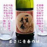 名入れ 日本酒 ギフト【 一生青春 吟醸 720ml 名入れ マス柄 グラス 2個 セット 】 誕生日 プレゼント 父の日 母の日 還暦祝い 退職祝い 古希祝い 喜寿祝い 米寿祝い 成人祝い 敬老の日 お中元 お歳暮 暑中見舞い 結婚祝い お祝い 福島県 ありがとう おめでとう