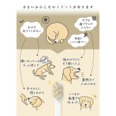 ミガケンデ MIGAKENDE 天然毛歯ブラシ ヤギ植毛 コンパクトヘッドタイプ