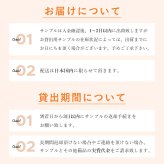 サンプルピアス貸出券