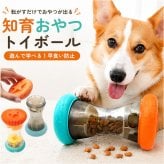 犬 早食い防止 ボール 玩具 通販 おやつボール おもちゃ ごはん エサ 遊びながら ストレス解消 ストレス発散 早食い 運動不足解消 知育 知育玩具 おやつ いぬ イヌ 小型犬 中型犬 大型犬 猫 ねこ ネコ