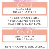 GOLGOLオリジナル 還暦祝い ゴルフボール 3球セット【デザインA】赤ボール 60歳 還暦プレゼント 父の日 ゴルフギフト ラッピング・のし付き