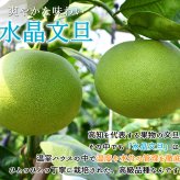 水晶文旦 特選品 3kg 5kg 大玉 家庭用 贈答用 高知県 土佐市産 生産者直送 Aランク 高知産 ハウス栽培 温室栽培 秋文旦 早生ぶんたん 秋の味覚 高級ギフト 化粧箱入り 産地直送 高級フルーツ 柑橘 果物 【送料無料】
