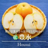 豊水　なし　約5kg　長野県須坂市産　フルーツ　ギフト
