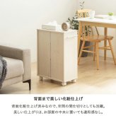 ラック 押入れ収納 奥行45cm 選べる幅3サイズ (19/25/38cm) IW-24 クローゼット収納 リビング収納 すき間収納 サニタリー収納 新生活