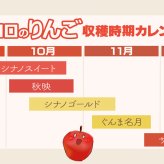 長野県産りんご3兄弟セット シナノスイート 秋映 シナノゴールド ご贈答 果物 フルーツ お取り寄せ 産地直送 【送料無料(一部地域除く)】