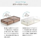 折りたたみベッド下収納ボックス　BENRY ONLS0356 2個セット 単品  リビング収納 シンプルスタイル モダン 角型 プラスチック 隙間収納幅82.5cm 奥行40.5cm 高さ18cm