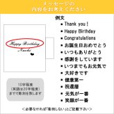 サーモス 名入れ マグカップ 名前入り 真空断熱マグカップ 敬老の日 母の日 父の日 ホワイトデー バレンタイン プレゼント おしゃれ THERMOS 真空ステンレス 還暦祝い ギフト 父 母 男性 お父さん JDS-351