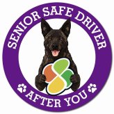 カーサイン 高齢者マーク SENIOR SAFE DRIVER 甲斐犬 マグネット 強力 直径13cm 肉球 日本製 車 ステッカー
