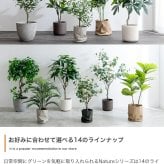 照明 ライト ナチュレ 観葉植物 オリーブ フェイクグリーン 人工 室内 リビング オフィス 一人暮らし 緑 光触媒 空気清浄 消臭 抗菌 防汚 ホルムアルデヒド分解 高さ150cm 造花 おしゃれ 植木 鉢植え 観賞用 グリーン
