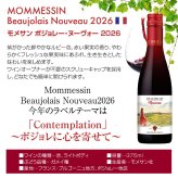 ワイン【ハーフサイズ6種 飲み比べ】 拘りのヌーヴォーを気軽に楽しむ ボジョレー ヌーボー 2026 瓶 ハーフボトル 6本セット 赤4・ロゼ1・オレンジ1 (各375ml) ヴィラージュ・ヌーヴォー 送料無料 11/19(木)解禁 【包装済】 ◎