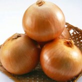たまねぎ 送料無料 5kg 玉ねぎ 玉葱 タマネギ 北海道産 L-2Lサイズ ※沖縄送料別途加算