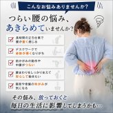 腰サポーター 腰をグイッと滑（なめ）らくパワーベルト 腰ベルト 骨盤ベルト サポートベルト 滑車構造 軽い力で締めやすい メッシュ 通気性 男女兼用 日本製 S-M M-L 立ち仕事 デスクワーク 腰サポート 健康グッズ ご両親 祖父母 敬老の日 父の日 母の日 プレゼント ギフト