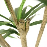 観葉植物 造花 ユッカ BROWN 全高約210cm 大型 フェイクグリーン 高級 本物そっくり リアル おしゃれ スタイリッシュ インテリア 人工観葉植物 アーティフィシャルグリーン モダン オフィス 店舗 ホテル 開店祝い 室内 リビング 玄関 風水 青年の木