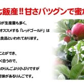 りんご 北海道産 蜜入 レッドゴールド リンゴ 5kg（約20-30個入）