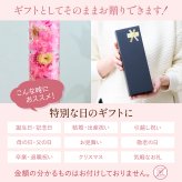 ハーバリウム 送料無料 土日発送OK ギフトボックス 誕生日プレゼント かわいい フラワーギフト プチギフト インテリア 雑貨 飾り お祝い お祝 御祝 御祝い お歳暮 お歳暮ギフト バースデー フラワー お花 生花 花束 誕生日 記念日 結婚記念日 恋人 女性 父 内祝い