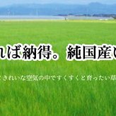 夏ラグ 夏用カーペット 純国産 い草花ござカーペット 『銀河』 江戸間3畳(約174×261cm）