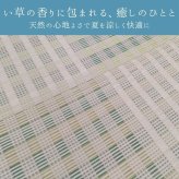 夏ラグ 夏用カーペット 『ピース』 286×382cm