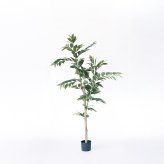 観葉植物 造花 コーヒーの木 BROWN 全高約170cm 大型 スリム フェイクグリーン 高級 本物そっくり リアル おしゃれ インテリア 人工観葉植物 アーティフィシャルグリーン カフェ オフィス 店舗 開店祝い 室内 リビング 玄関 寝室 風水 コーヒーノキ