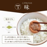 【特選紀州南高梅】【あまみつ梅250g×2パック（塩分約5％）】【紀州産】【調味梅干】減塩のはちみつ梅干し つけもの 梅干し ギフト プレゼント 内祝