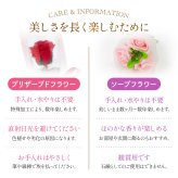 くま ぬいぐるみ バラ プリザーブドフラワー ソープフラワー お花 クリスマス 退職 入学 プロポーズ 誕生日 記念日 結婚記念日 恋人 女性 父 妻 嫁 内祝い お返し 祖父 プレゼント 米寿 喜寿 女友達  プレゼント 花 ギフト 50代 60代 70代 ははの日 送料無料