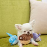 DADWAYPET ダッドウェイペット FAD＋ ファッドプラス プラッシュトイ マンボウ 犬用おもちゃ