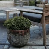 植木鉢 おしゃれ 高級 大型 17号 13号 10号 丸 丸型 KONTON コントン アビス ラブカ ボウル 陶器 釉薬 寒冷地 底穴あり 観葉植物 多肉植物 シンボルツリー 寄せ植え ボウル 特大 北欧 和モダン ナチュラル モダン 屋外 玄関 テラス ベランダ 庭