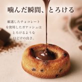  [ ティグレ プレーン＆いちごセット ]  ギフト 御中元 フィナンシェ 焼き菓子 詰め合わせ お菓子 菓子折り プレゼント お礼 誕生日 かわいい 高級 スイーツ 洋菓子 手土産 出産 結婚 結婚内祝い 個包装 （夏季冷蔵配送）