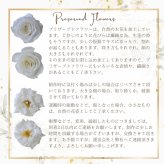 プリザーブドフラワーアレンジメント 【Natural Frame】　 窓枠のようなフレームのプリザーブドフラワーです。やさしい色の組み合わせで自然の中にある色彩の美しさを楽しんで頂けます。プリザーブドフラワー 誕生日 花 プレゼント お祝い グリーン 和 ギフト メッセージ 送料無料  プレゼント おしゃれ リビング インテリア 枯れない花 土日発送 母の日 敬老の日 お中元 お歳暮