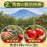 青森県産　りんご　ぐんま名月　訳あり　１０ｋｇ　全国送料無料！