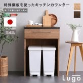 キッチンカウンター ゴミ箱収納 日本製 特殊鋼板を使った 【Lugo-ルゴ-】ゴミ箱上カウンター 60cm：