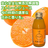 「柑橘の王様」せとかジュース 200ml 濃厚な味わい ギフト箱 愛媛県産【贅沢な果汁100％】送料無料