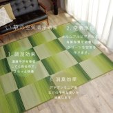 夏ラグ 夏用カーペット い草ラグ おしゃれ コンパクト シンプル カーペット 『DXモーセ』 約135×180cｍ 新生活