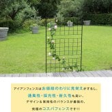 アイアンフェンス 高さ176cm 幅42cm 2枚セット ガーデンフェンス スリム 地面に挿す トレリス つる植物 薔薇 バラ クレマチス 朝顔 グリーンカーテン 園芸 柵 仕切り 格子 アンティーク ブラック 屋外 ベランダ プランター グラフ 花壇用