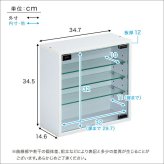 推し活 棚 推し活収納 コレクションキューブラック 浅型タイプ QCLR-S14--BK ブラック 浅型 ホームテイスト コレクション キューブラック アイドル フィギュア アクスタ トレカ ガラス扉 展示 キューブ 新生活