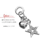 ハワイアンジュエリー ネックレス シルバー ネックレス 刻印 無料 誕生石入れ可 ジルコニア スター ハート 星 シンプル シルバー925 ギフトラッピング可能 チェーン 長さ選べる プレゼント ハロウィン 【品番：CG-SP3195】