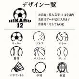 【名入れ 刺繍】今治タオル ホテルエアー フェイスタオル《スポーツ大》(タオル 今治 名入れタオル 卒団 記念品 部活 クラブ チームクラブ 誕生日 卒団記念 オリジナル スポーツタオル 体育祭 学校祭 運動会 部活タオル 無地 野球 サッカー テニス バスケット バレー バドミントン 卓球 剣道) 117